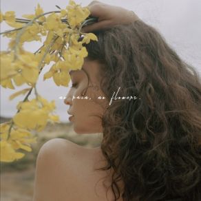 No Rain, No Flowers album cover