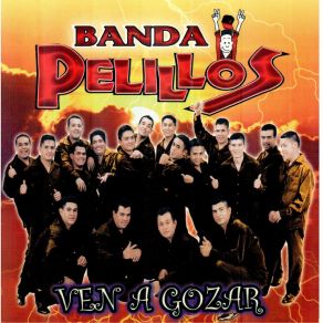 Ven A Gozar album cover