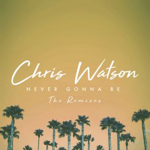 Never Gonna Be (The Remixes) album cover
