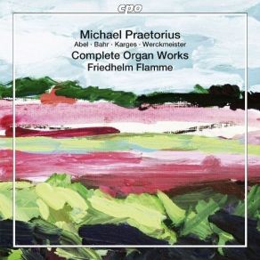 Michael Praetorius - Complete Organ Works - Friedhelm Flamme album cover
