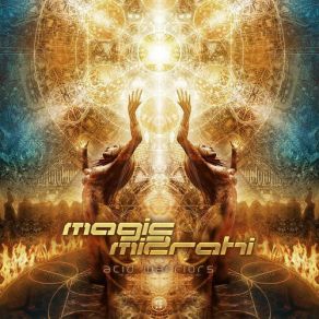 Acid Warriors album cover