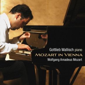 Mozart In Vienna album cover