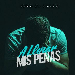 A Llorar Mis Penas album cover