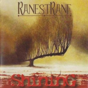 Shining (CD2) album cover