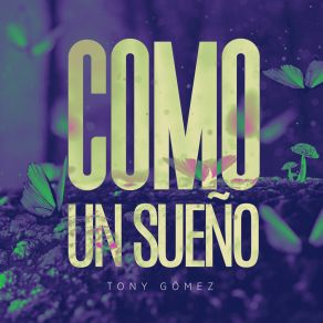 Como Un Sueño album cover