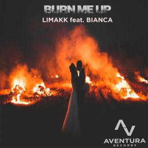 Burn Me Up album cover