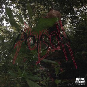Poison album cover