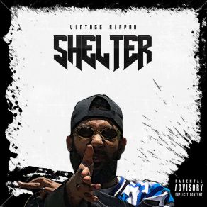 Shelter album cover