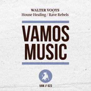House Healing / Rave Rebels album cover