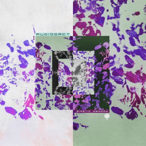 Eidetic Memory album cover