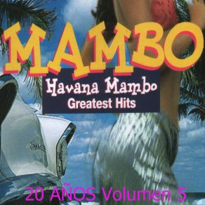 Greatest Hits: 20 Años, Vol. 5 album cover
