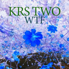 Wtf album cover