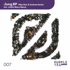 Jung album cover