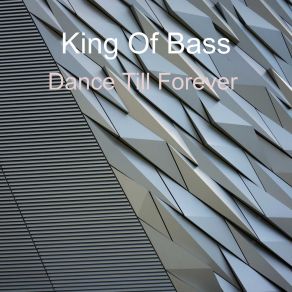 Dance Till Forever album cover