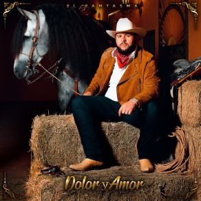 Dolor Y Amor album cover