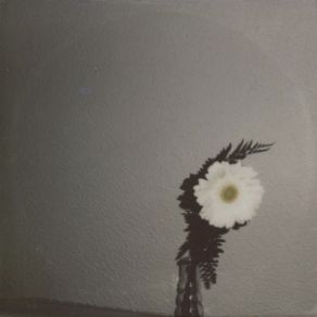 Tomorrow Is Nothing, Today Is Too Late album cover