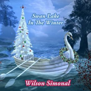 Swan Lake In The Winter album cover