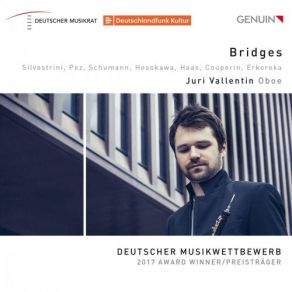Bridges album cover
