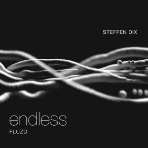 Endless - Fluzd album cover