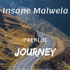 Painful Journey album cover