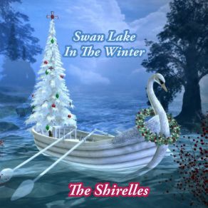 Swan Lake In The Winter album cover