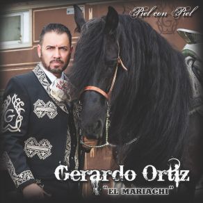 Piel Con Piel album cover