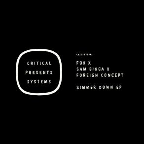 Critical Presents: Systems 014 - Simmer Down album cover