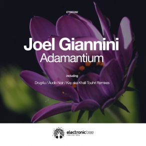 Adamantium album cover