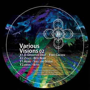 Various Visions 02 album cover