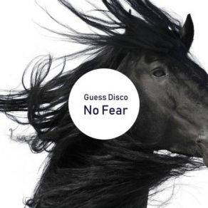 No Fear (Maxi-Single) album cover