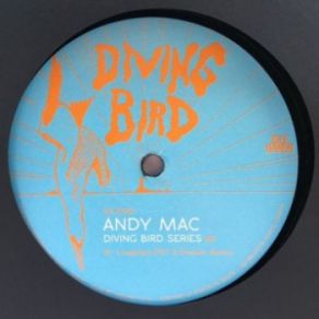 Diving Bird 3 (Maxi-Single) album cover
