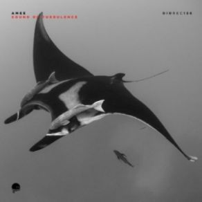 Sound Of Turbulence (Maxi-Single) album cover