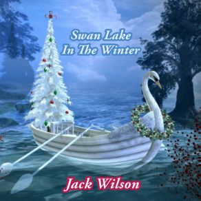 Swan Lake In The Winter album cover