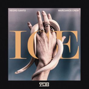 Ice album cover