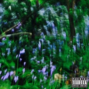 The Joker, The Devil And The Universe album cover