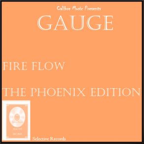 Fire Flow: Phoenix Edition album cover