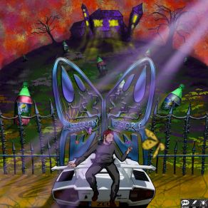 Butterfly Doors album cover