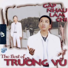 The Best Of Truong Vu - Gap Nhau Lam Chi album cover