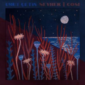 Seyrek / Cosi album cover