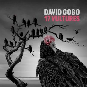 17 Vultures album cover