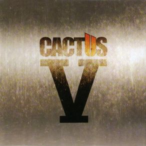 V album cover