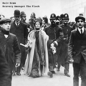Bravery Amongst The Flock album cover