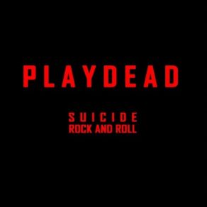 Suicide Rock And Roll album cover