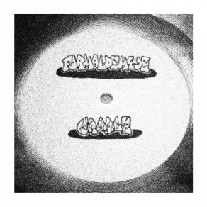 Formaldehyde album cover