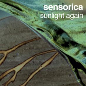 Sunlight Again (Single) album cover