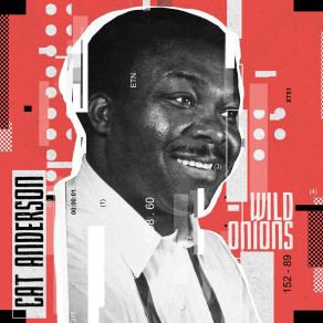 Wild Onions album cover
