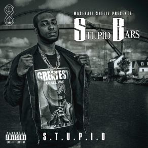 S. T. U. P. I. D album cover