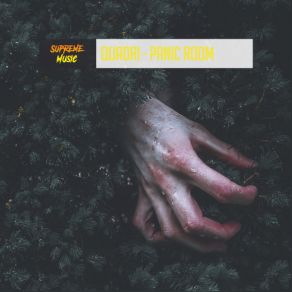 Panic Room album cover