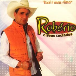 Você É Meu Amor album cover