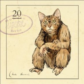Echo (Maxi-Single) album cover